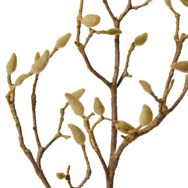 Faux Magnolia Bud Branch | Natural | 86cm