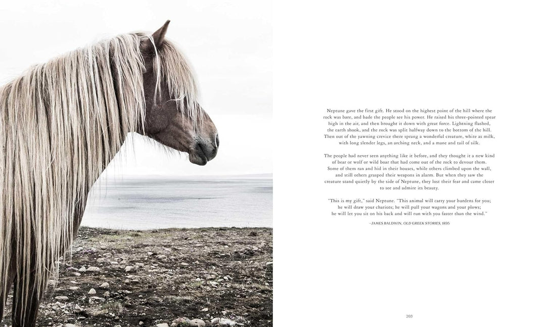 Horse Country | Kathryn O&