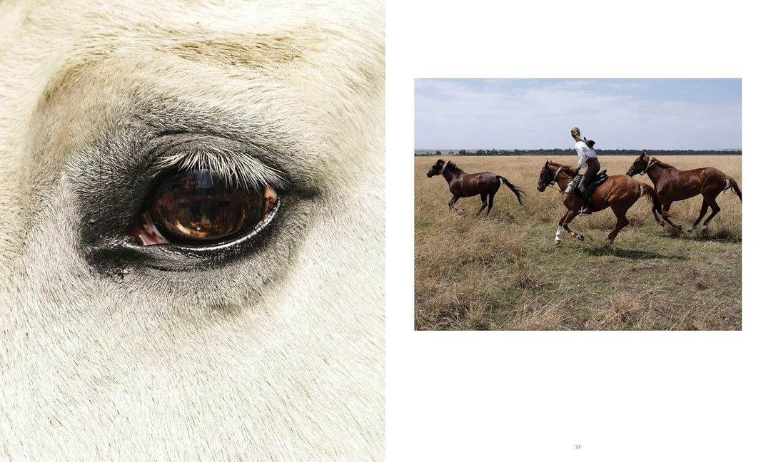 Horse Country | Kathryn O&