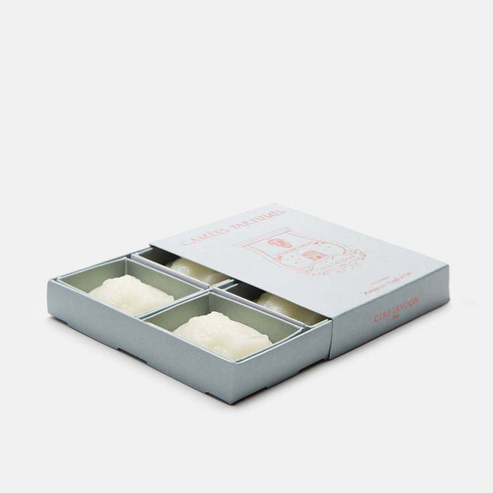 Trudon Spiritus Sancti Scented Cameos | 4 Pack | Incense