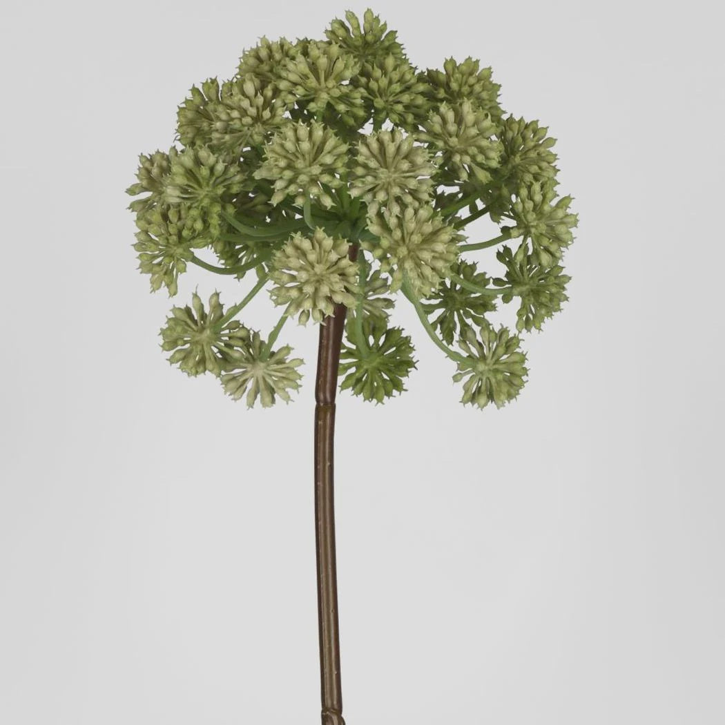 Faux Green Allium | 98cm