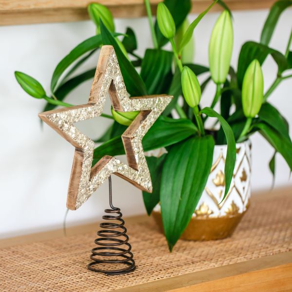 Lucia Tree Top Star | Champagne