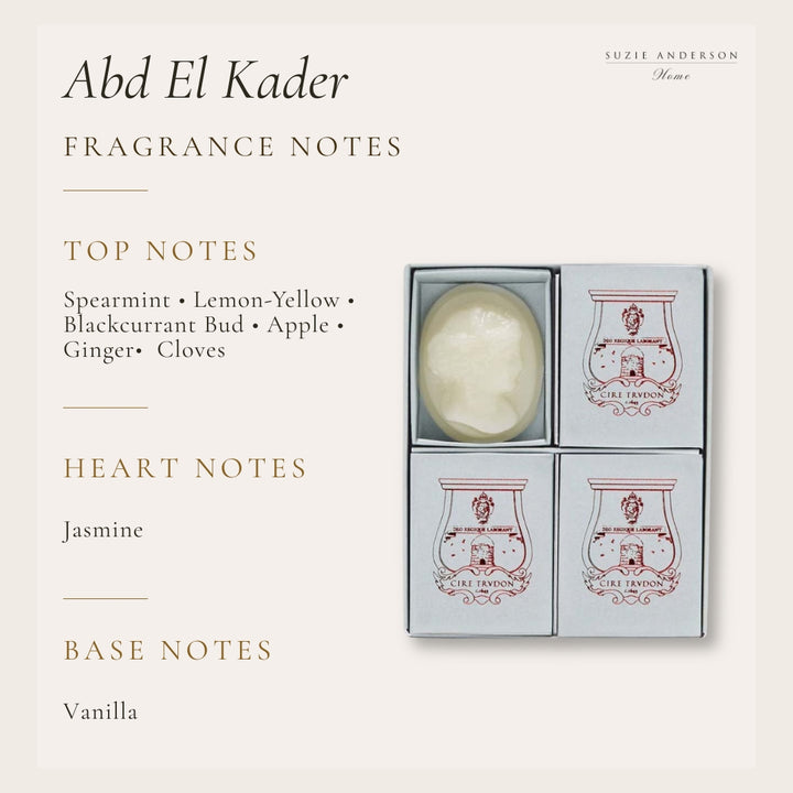 Trudon Abd El Kader Scented Cameos | 4 Pack | Moroccan Mint Tea