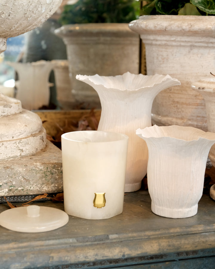 Open Bell Paper Tealight Holder | T1