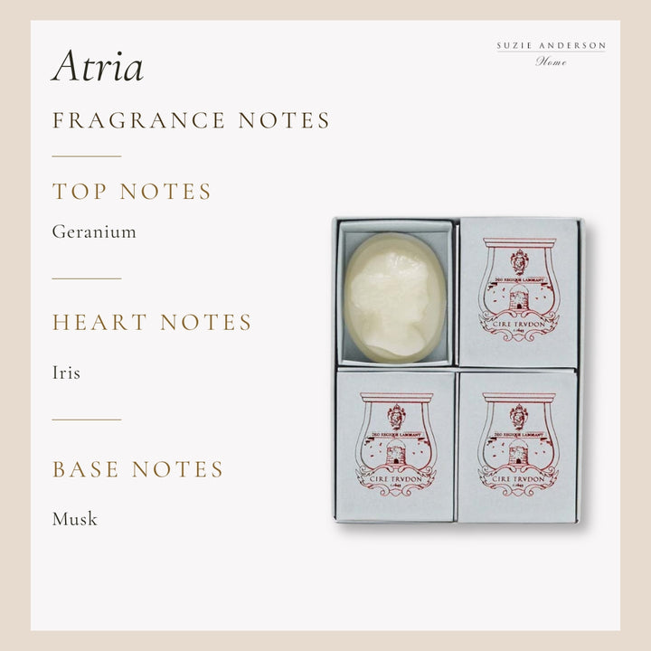 Trudon Atria Scented Cameos | 4 pack | Iris and Amber