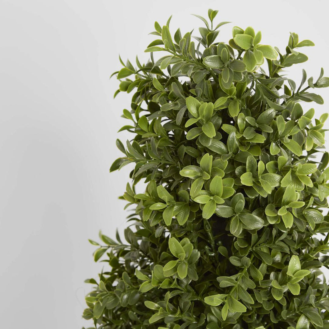 Faux Boxwood Pyramid Tree | 1.0m