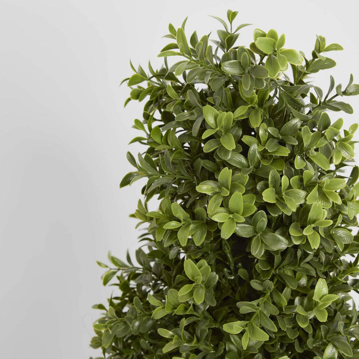 Faux Boxwood Pyramid Tree | 1.0m