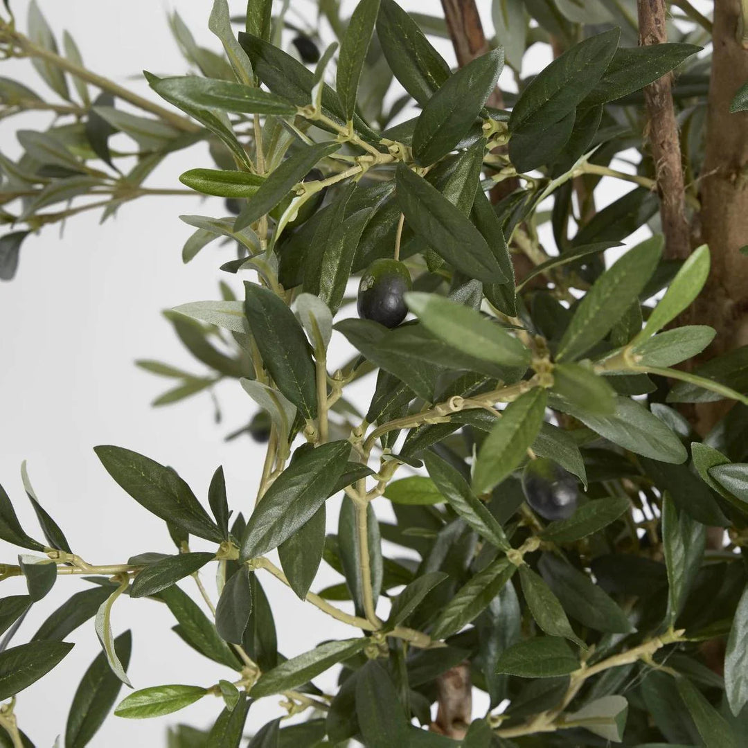 Faux Olive Tree | 170cmH