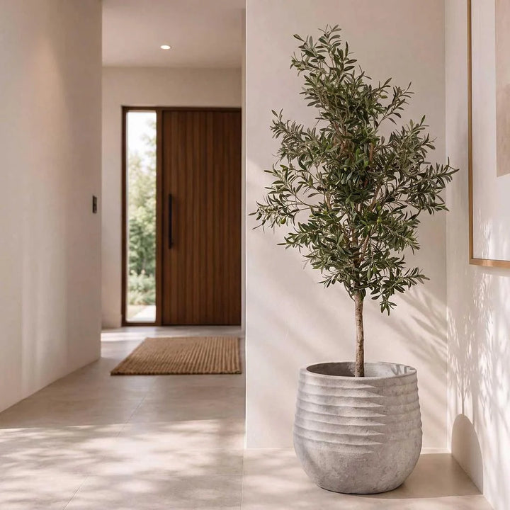 Faux Olive Tree | 170cmH