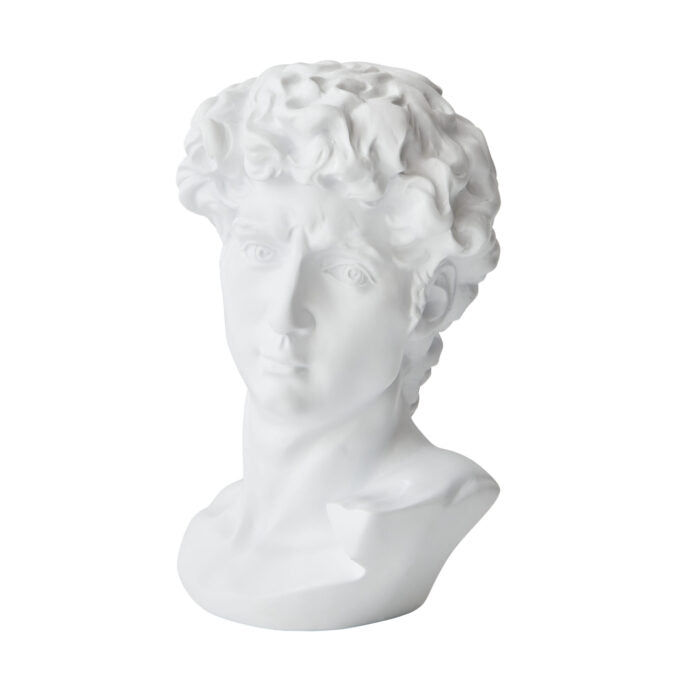 Bust of David White Sculpture | 29cmH x 20cmW x 20cmD