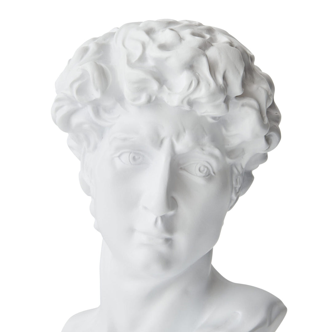 Bust of David White Sculpture | 29cmH x 20cmW x 20cmD