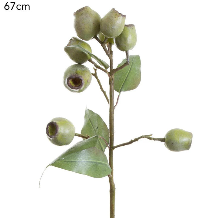Faux Eucalyptus Gumnut Spray | Green | 67cm