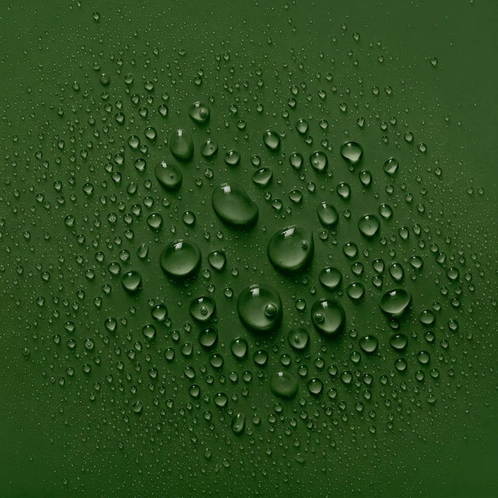 Focus | Mood Mist