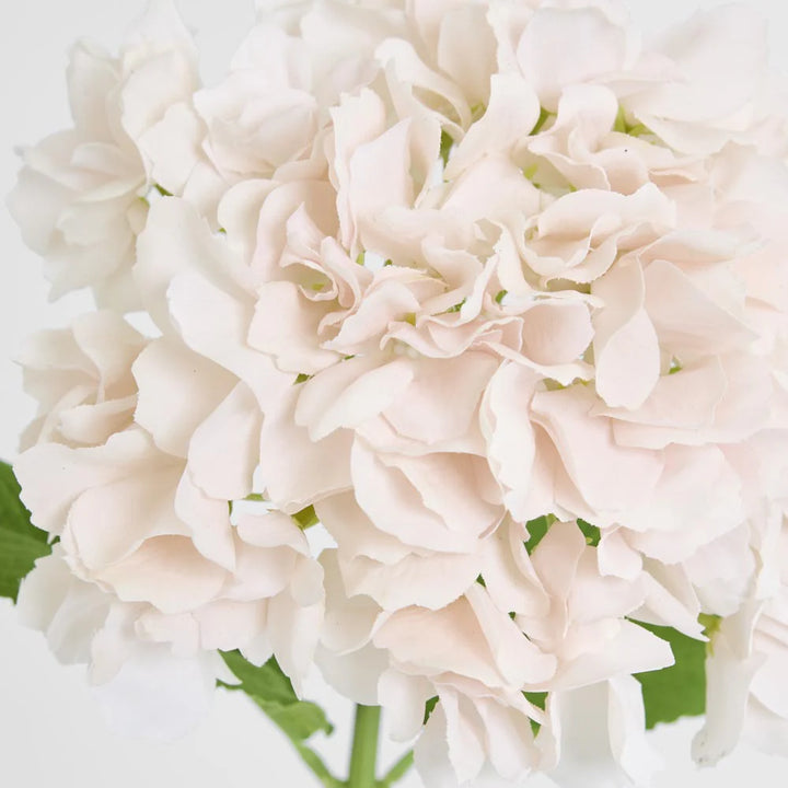 Faux Hydrangea Stem 'Soft Touch' 50cm | White Pink
