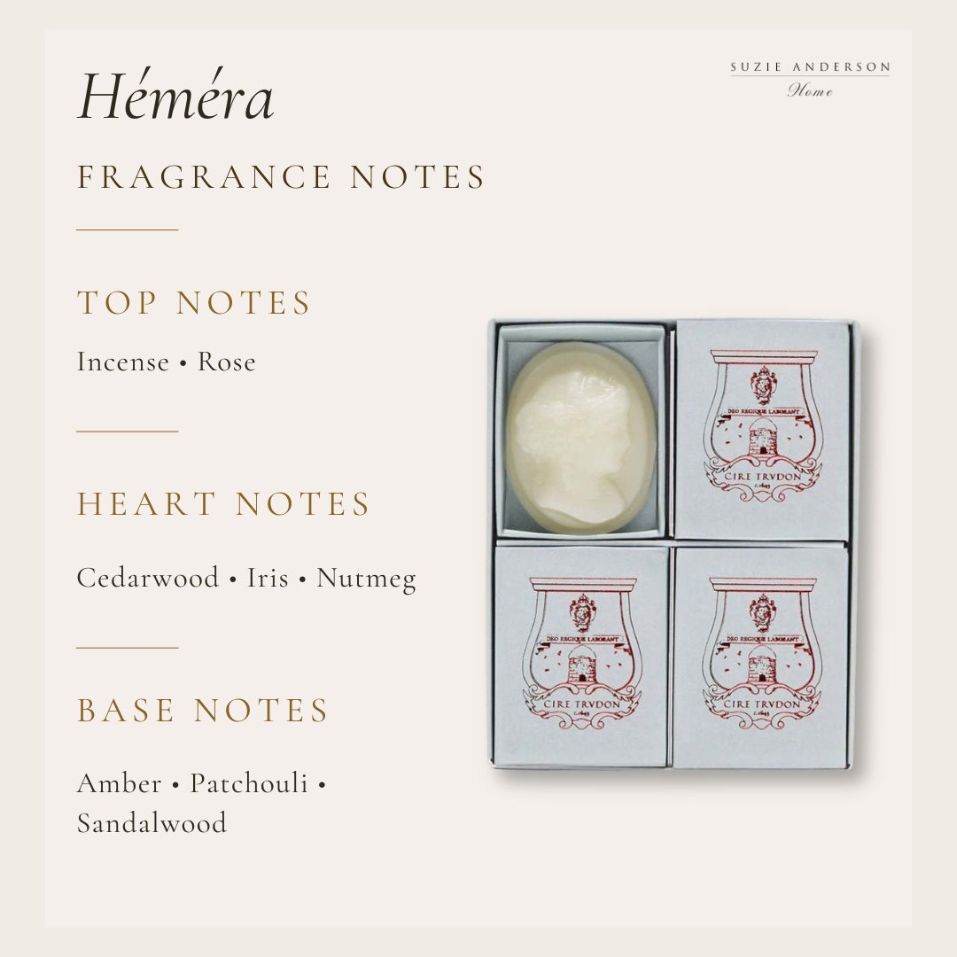 Trudon Héméra Scented Cameos | 4 pack | Coriander and Pink Peppercorn