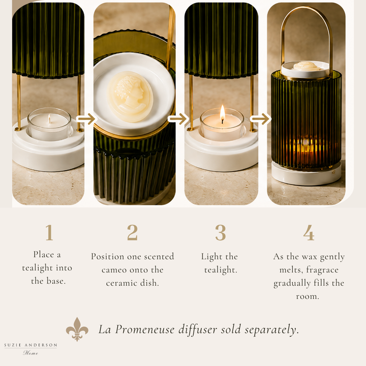 Trudon Héméra Scented Cameos | 4 pack | Coriander and Pink Peppercorn