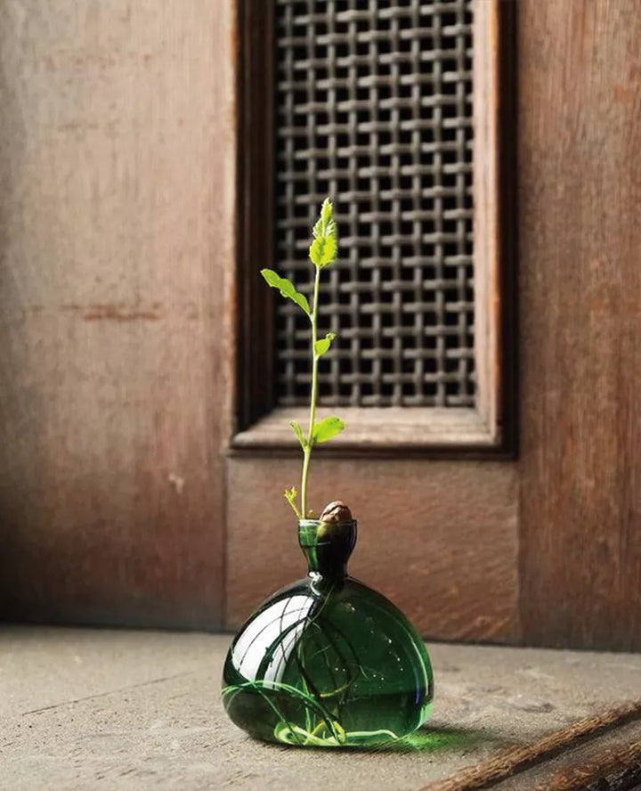 Acorn Propogation Vase | Coloured Emerald Green (Acorn not included)