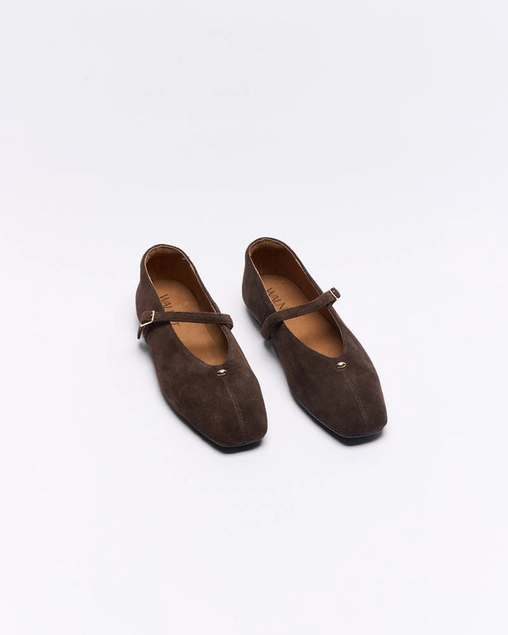 Walnut | Lennon Suede Leather Ballet Shoe | Chocolate Brown