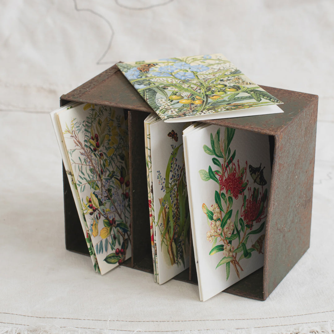 Louisa Anne Meredith Botanical Cards &amp; Envelopes | SET OF 10