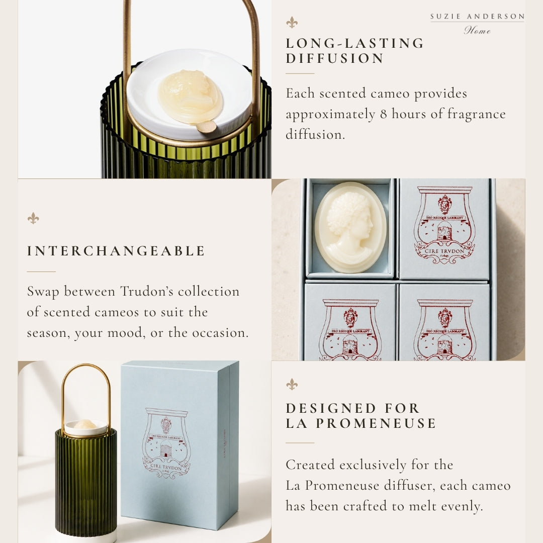 Trudon Héméra Scented Cameos | 4 pack | Coriander and Pink Peppercorn