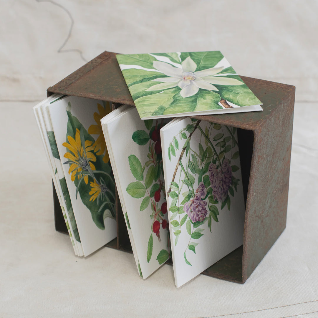 Mary Vaux Wolcott Botanical Cards &amp; Envelopes | SET OF 10