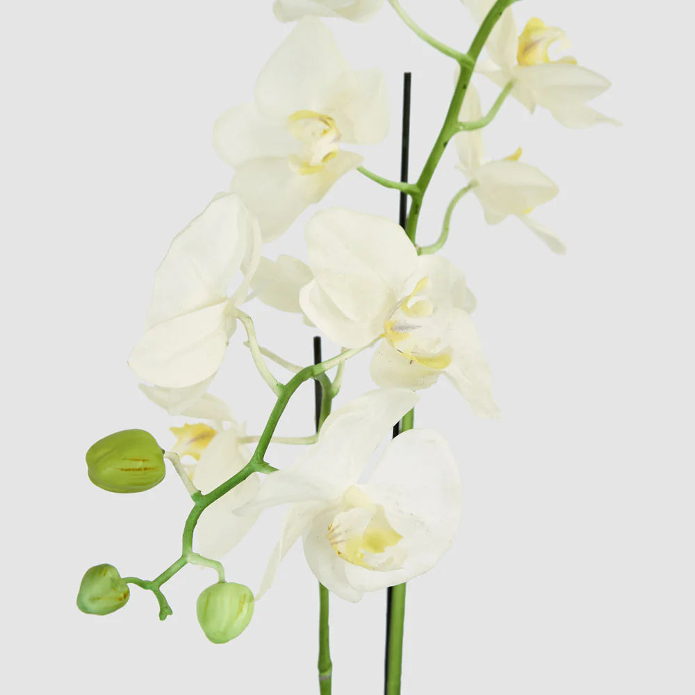 Faux Orchid in Clay Pot | White | 84cm