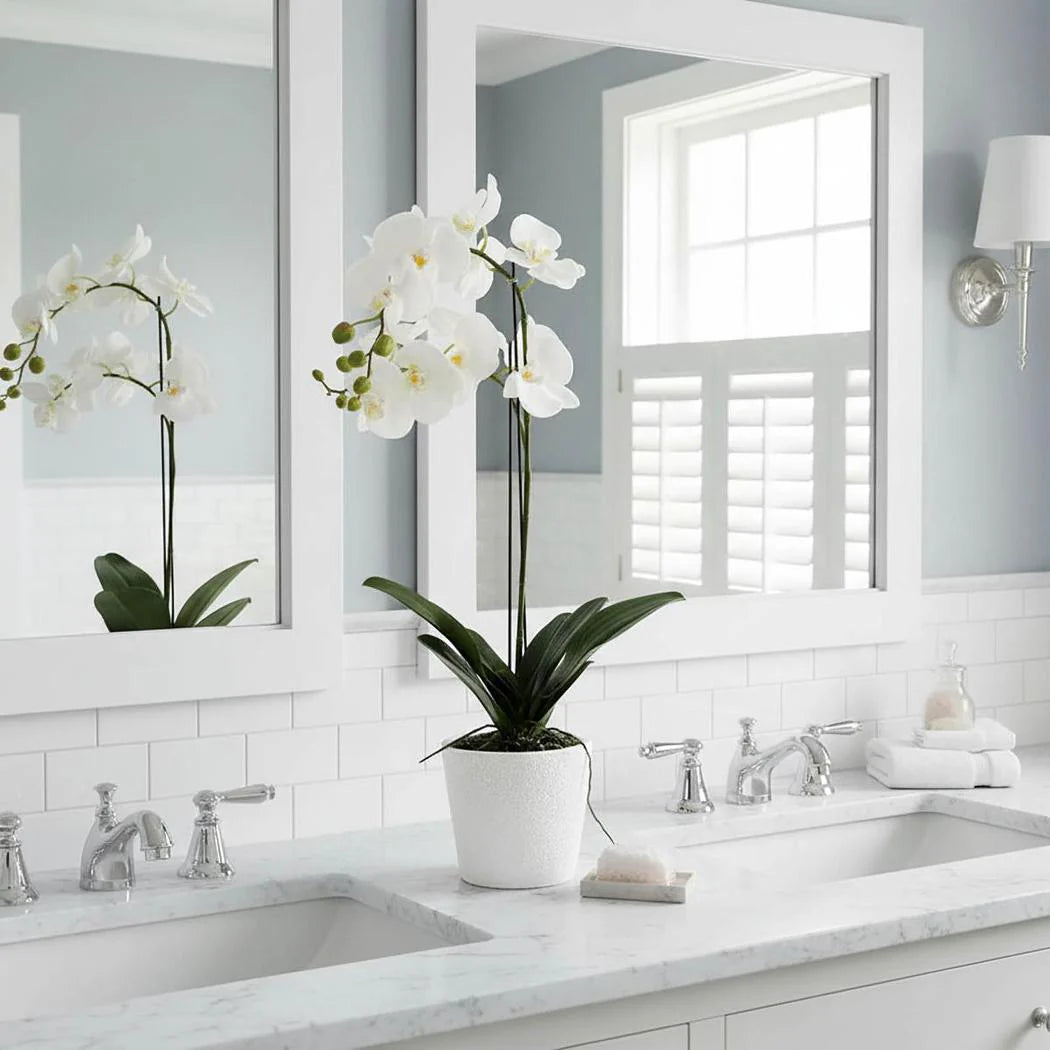 Faux Orchid in Clay Pot | White | 84cm