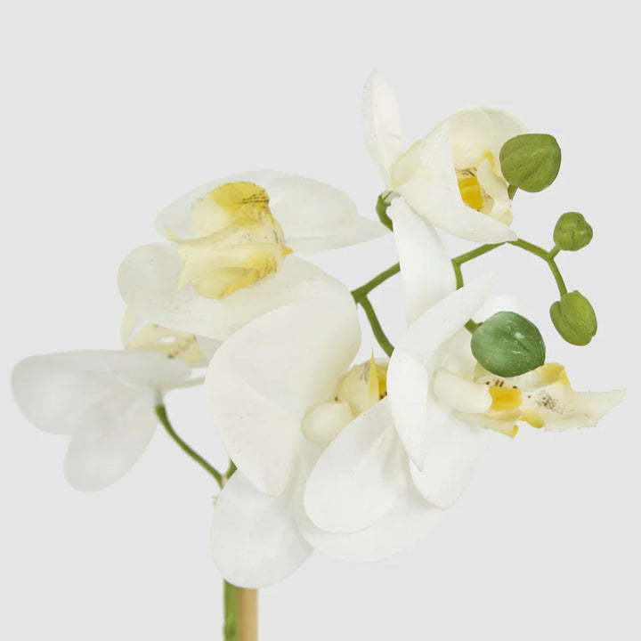 Faux Orchid in Grey Antiqued Stone Pot | 30cm | White