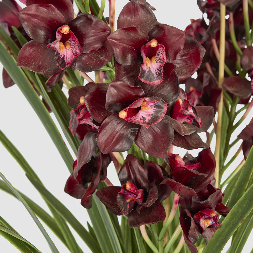 Faux Cymbidium in Giant Paper Pot | 1.1m Burgundy