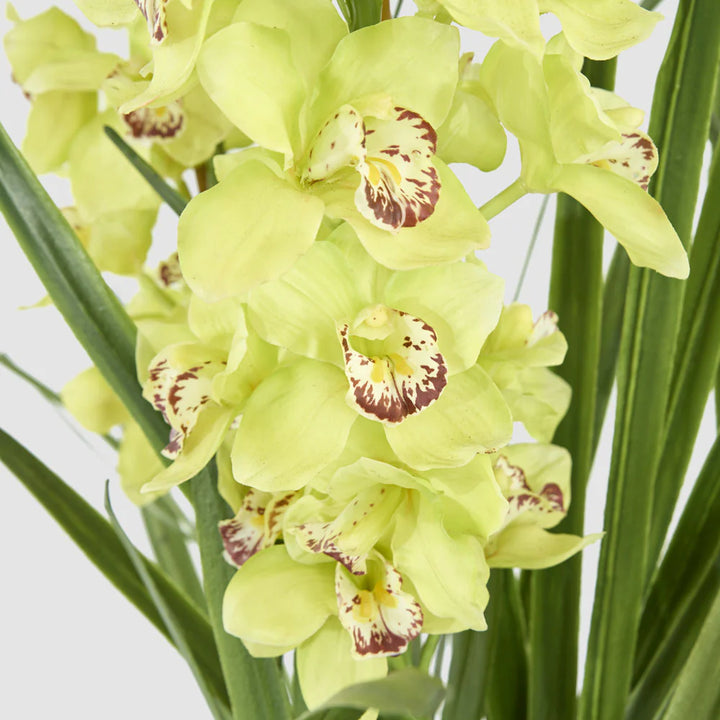 Cymbidium Giant Faux Plant 1.1m | Light Green
