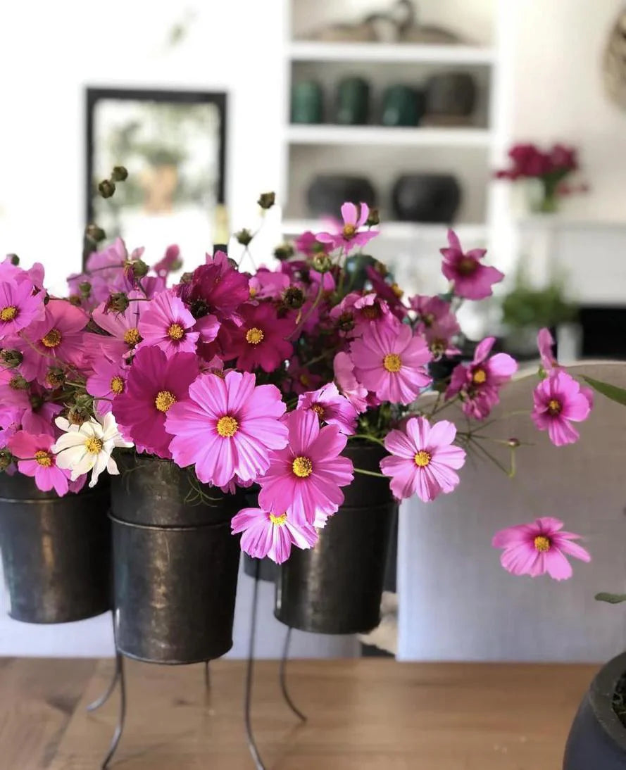 French Tin Centrepiece | Large | Indoor/Outdoor