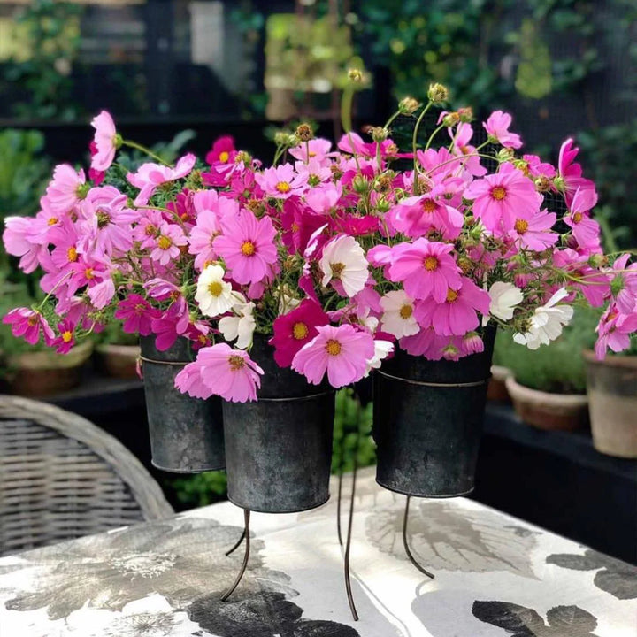French Tin Centrepiece | Large | Indoor/Outdoor