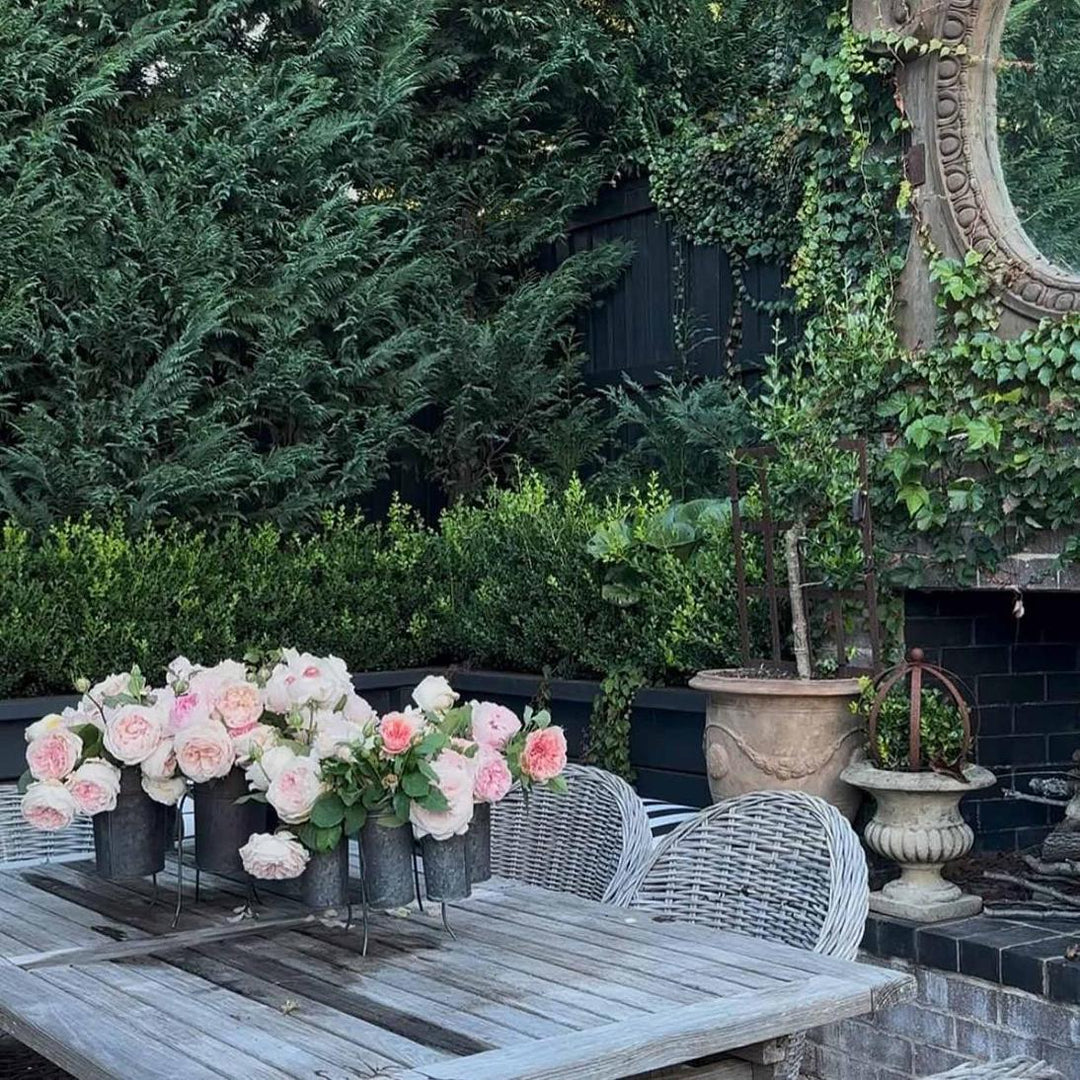 French Tin Centrepiece | Medium | Indoor/Outdoor