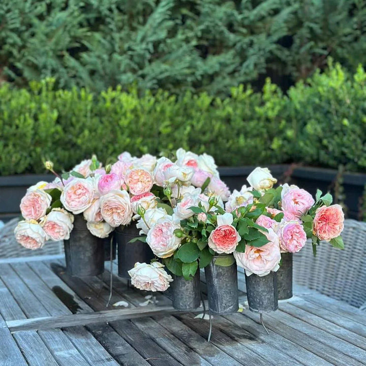 French Tin Centrepiece | Medium | Indoor/Outdoor