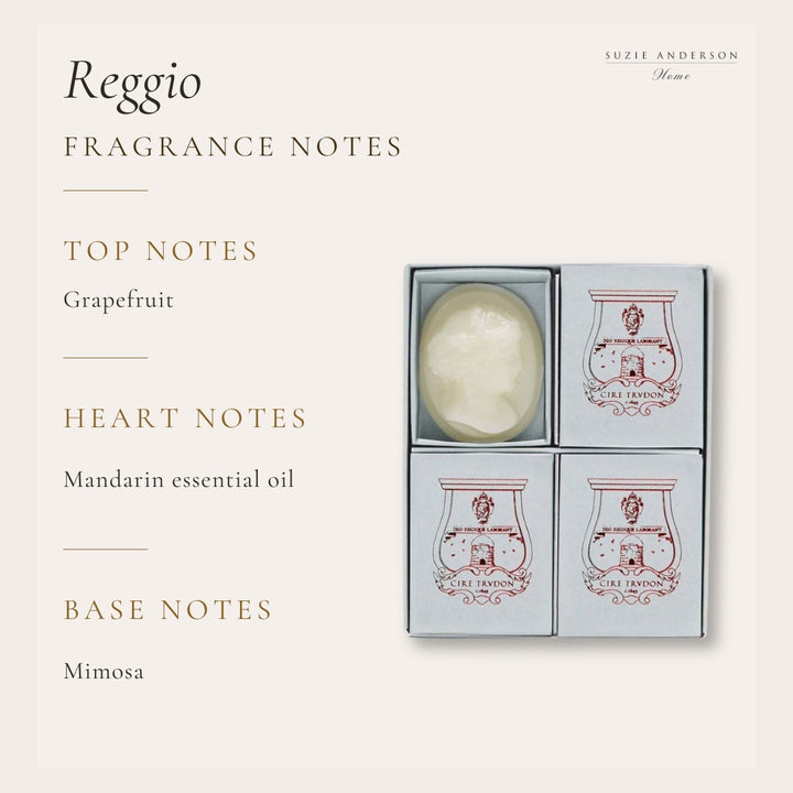 Trudon Reggio Scented Cameos | 4 Pack |  Hint of citrus from Calabria