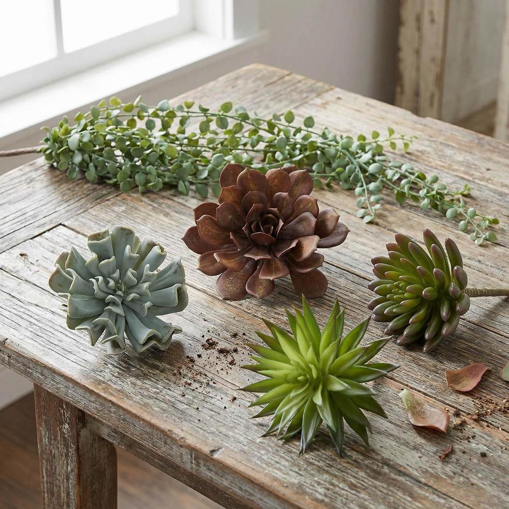 Faux Grey Wash Succulent