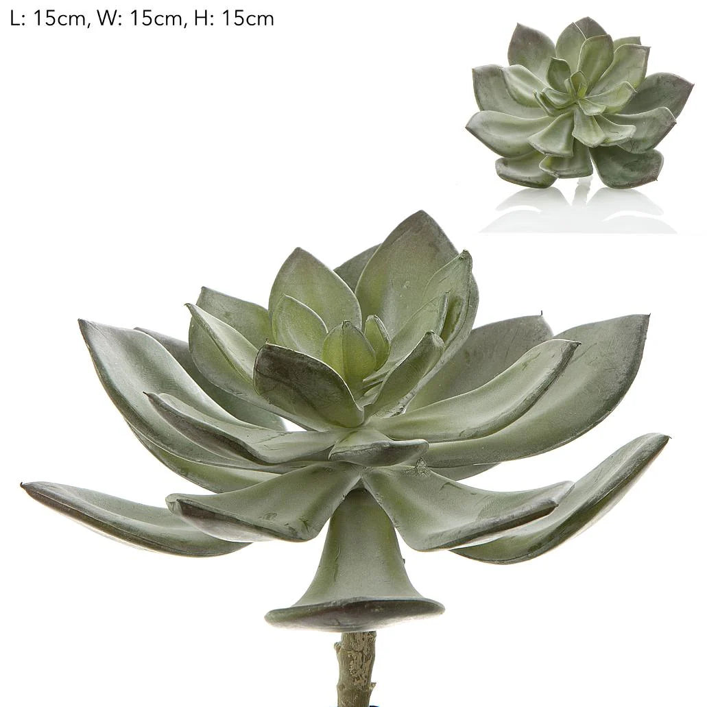 Faux Succulent Pearl Pick 15cm Grey