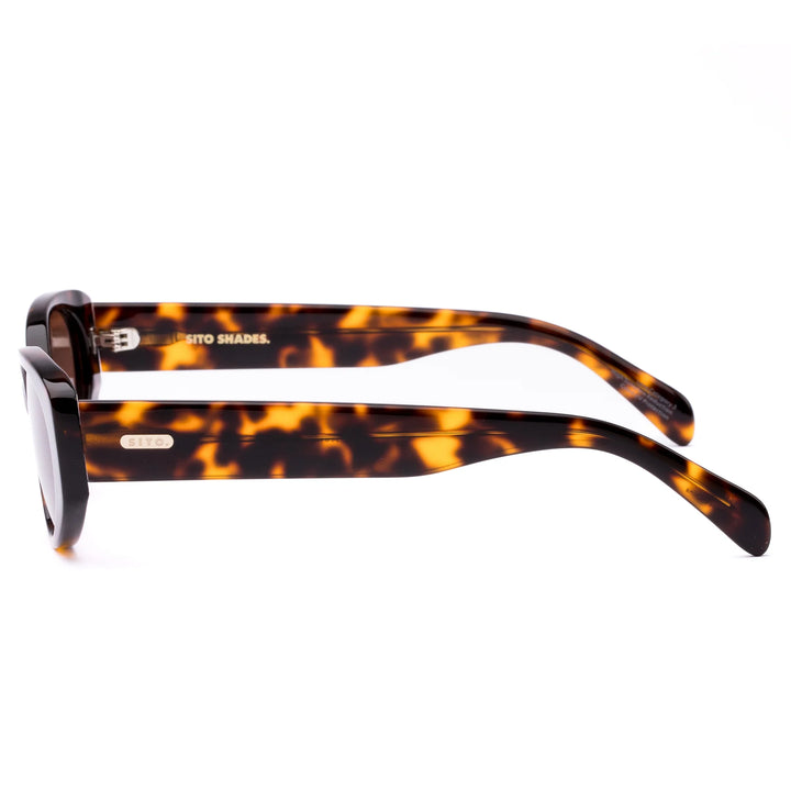 Sito | Aura Honey Tortoise Shell / Coffee Sunglasses
