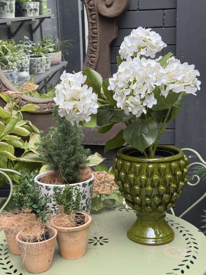 Hobnail Trim Pedestal Planter | Portuguese Green | Medium  | Indoor Pick up only