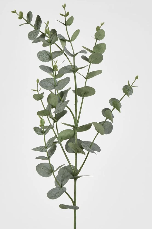 Eucalyptus Spray | 97cm