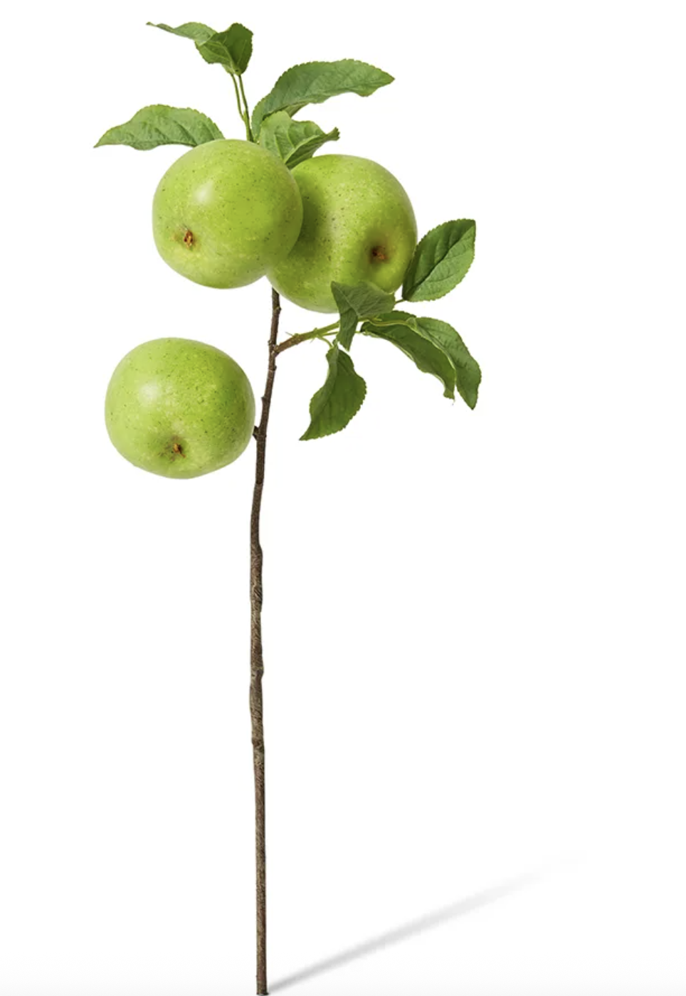 Green Apple Branch Spray
