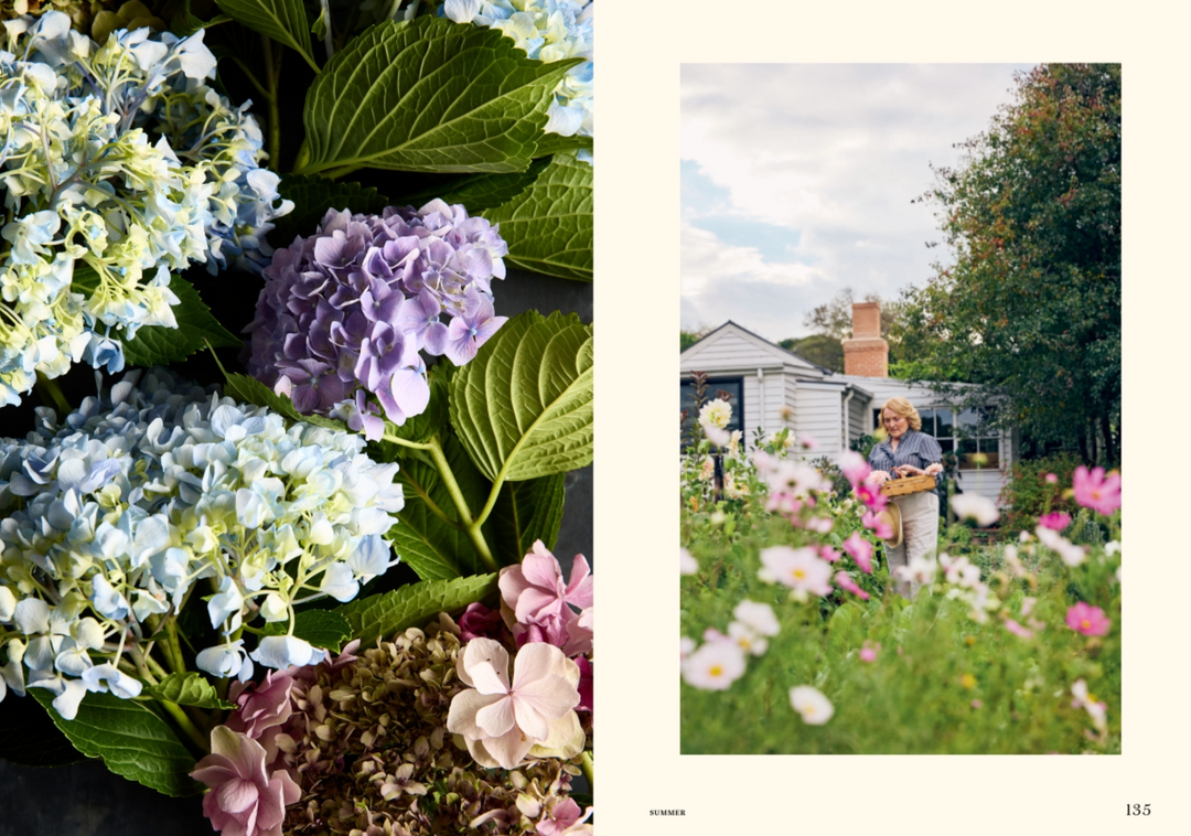 Celebrating Champagne | Sally Hillman