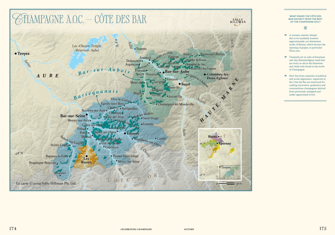 Celebrating Champagne | Sally Hillman