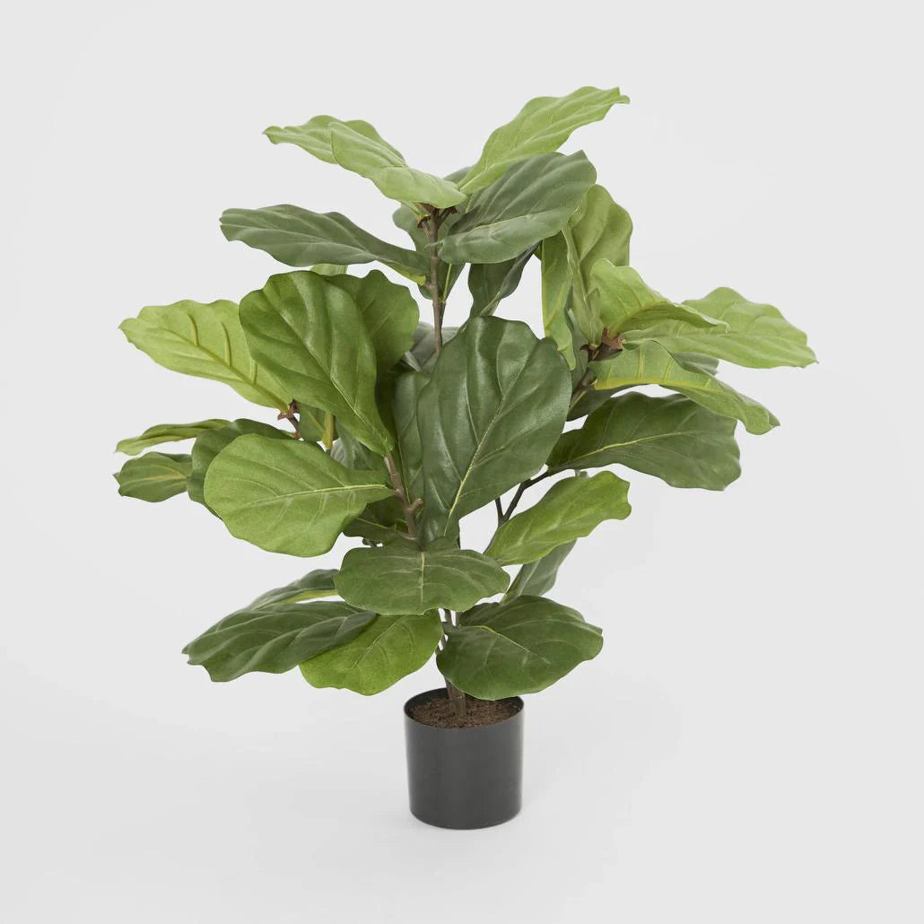 Potted Faux Fiddle Leaf Fig Tree w 36 Leaves