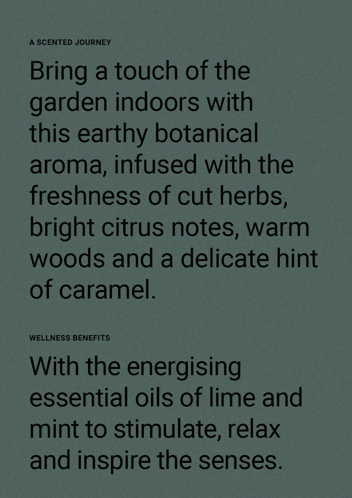 Therapy® Garden Hand & Body Wash | Wild Mint & Lime