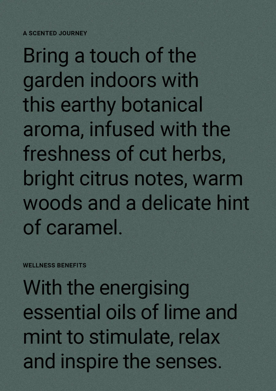 Therapy® Garden Hand & Body Lotion | Wild Mint & Lime
