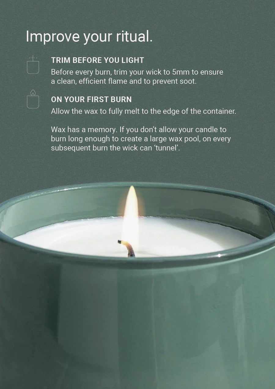 Therapy® Garden Candle | Wild Mint & Lime | 260g