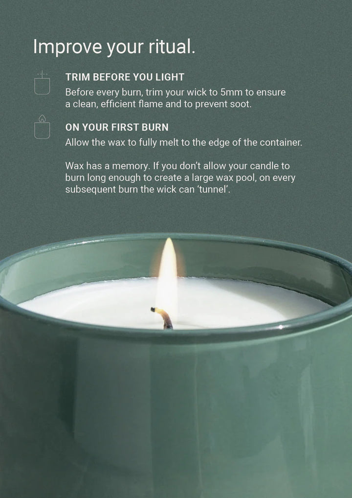 Therapy® Garden Candle | Wild Mint & Lime | 260g