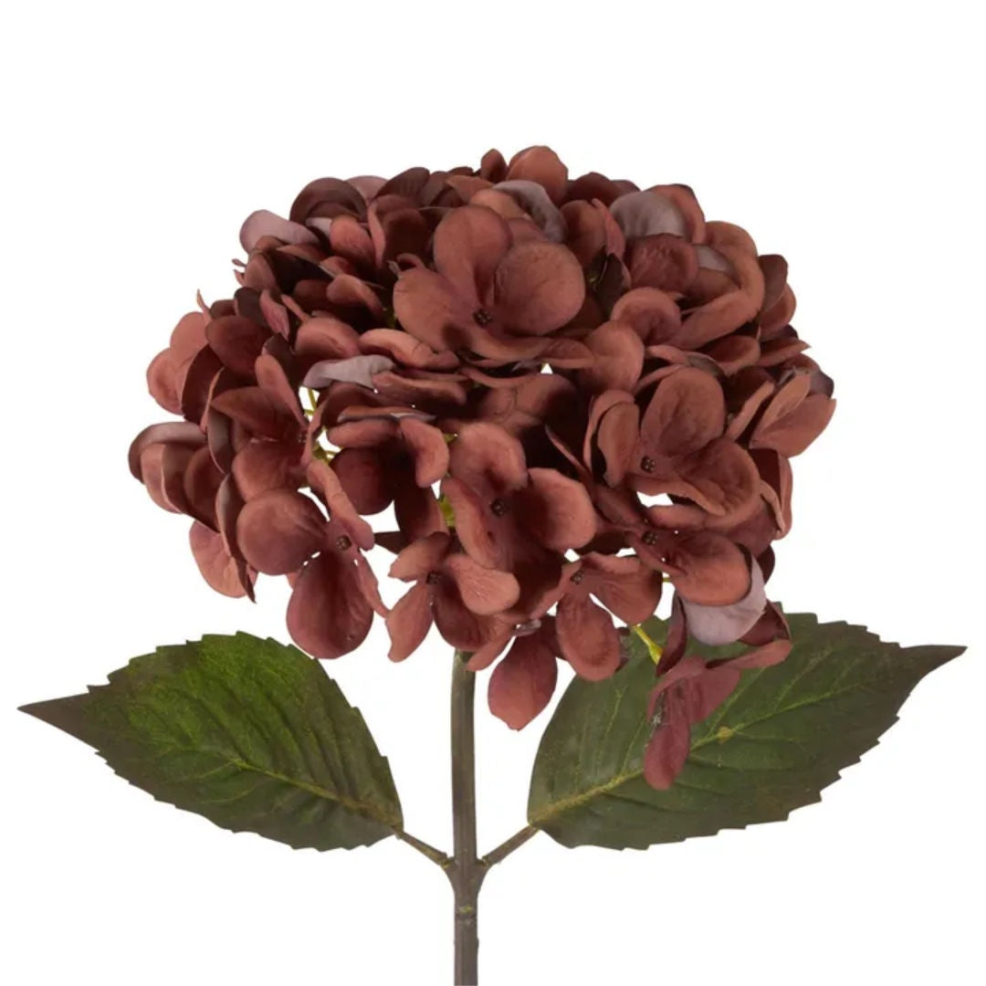Hydrangea Stem | Dried Look | 48cm Brown-Suzie Anderson Home