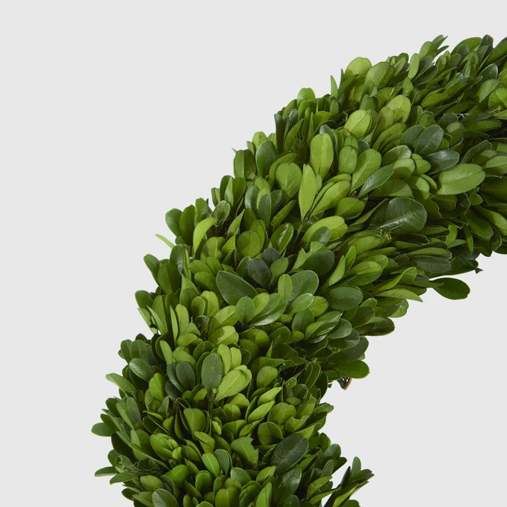 Preserved Boxwwod 35cm Wreath